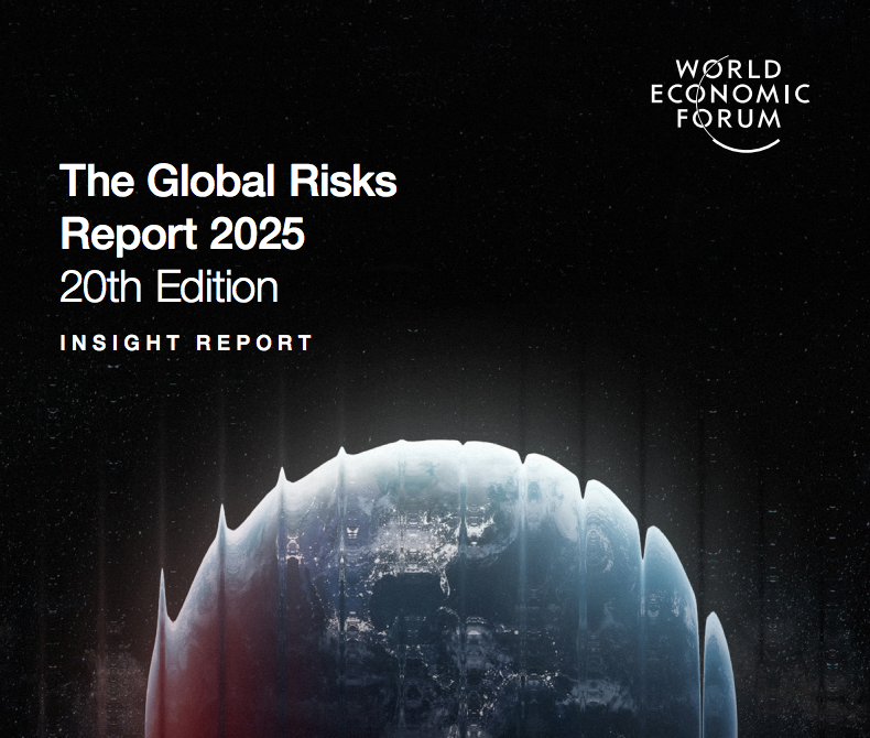 Relatório Riscos Globais 2025Captura de Tela 2025 01 24 às 15.49.02