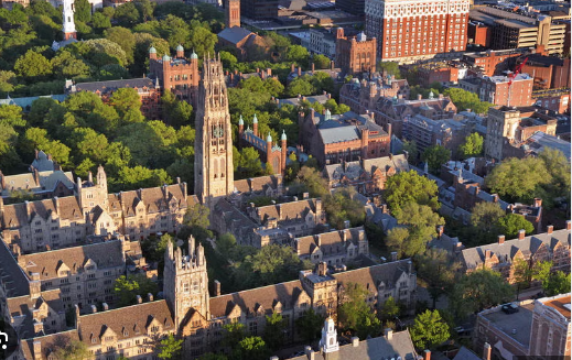 Universidade de Yale